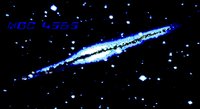 NG4565.GIF