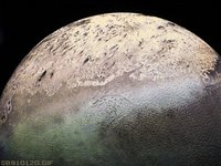 SB91012G.GIF