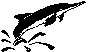 DOLPHIN.PCX