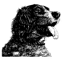 DOG.PCX