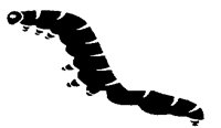 SILKWORM.PCX