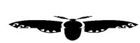 MOTH1.PCX