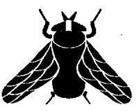 HORSEFLY.PCX