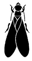 DOBSNFLY.PCX