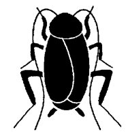 COCKROCH.PCX