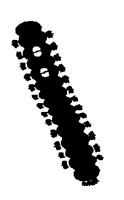 CATERPLR.PCX