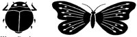 BUTTRFLY.PCX