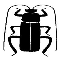 BEETLE3.PCX