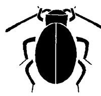 BEETLE.PCX