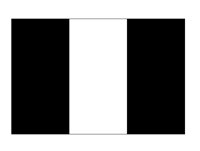 FLAG2.PCX