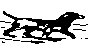 HLDY48.PCX