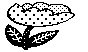 FLWR11.PCX