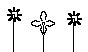 FLOWERS1.PCX