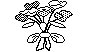 BOUQUET.PCX