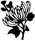 FLORAL27.PCX