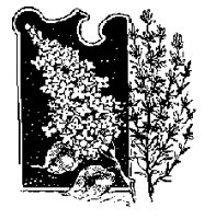 FLORAL16.PCX