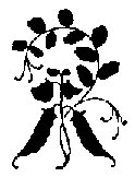 FLORAL09.PCX