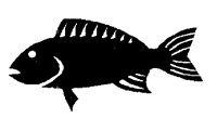SNAPPER.PCX