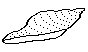 SHELL5.PCX
