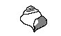SHELL1.PCX