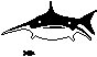 SHARK2.PCX
