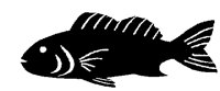 SEABASS.PCX