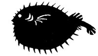 PORCUPIN.PCX