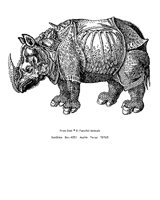 RHINO.PCX