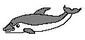 DOLPHIN2.PCX