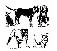 DOGS.PCX