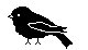 BIRD.PCX