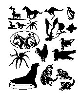 ANIMALS1.PCX