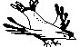 FOWL.PCX