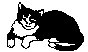 KITTY.PCX