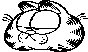GARF8.PCX