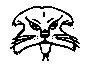 BIGCAT09.PCX