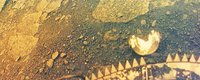 VENERA13.GIF