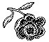 ROSE1.PCX