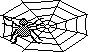 SPIDER.PCX