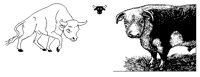 BULL2.PCX