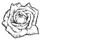 ILL100.BMP