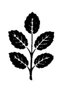 ILL087.BMP