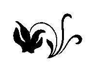 ILL084.BMP