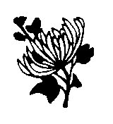 ILL080.BMP