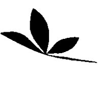ILL067.BMP