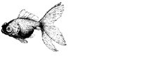 ILL050.BMP