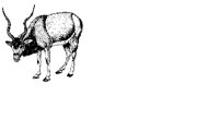 ILL036.BMP