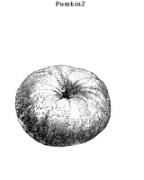PUMPKIN2.BMP