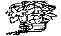 HLDY43.BMP
