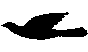 HLDY22.BMP